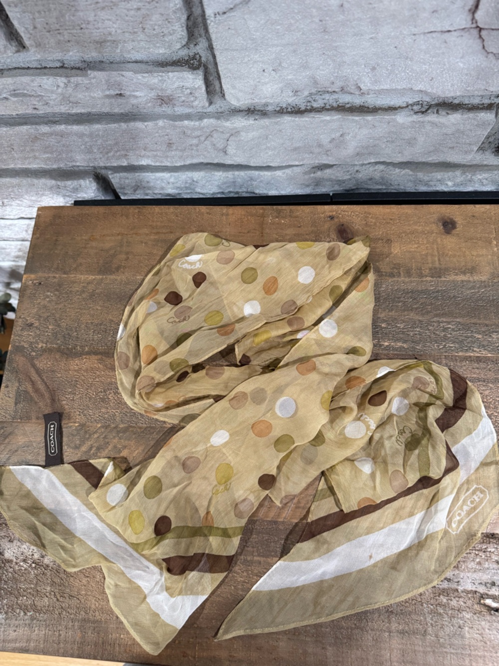 Coach Polka Dot Sheer Scarf in Beige and Brown